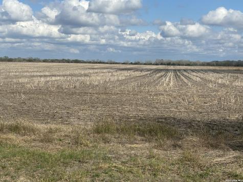 0000 Fm 1349 (39.87 Ac) Skidmore TX 78389