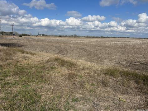 0000 Fm 1349 (39.87 Ac) Skidmore TX 78389