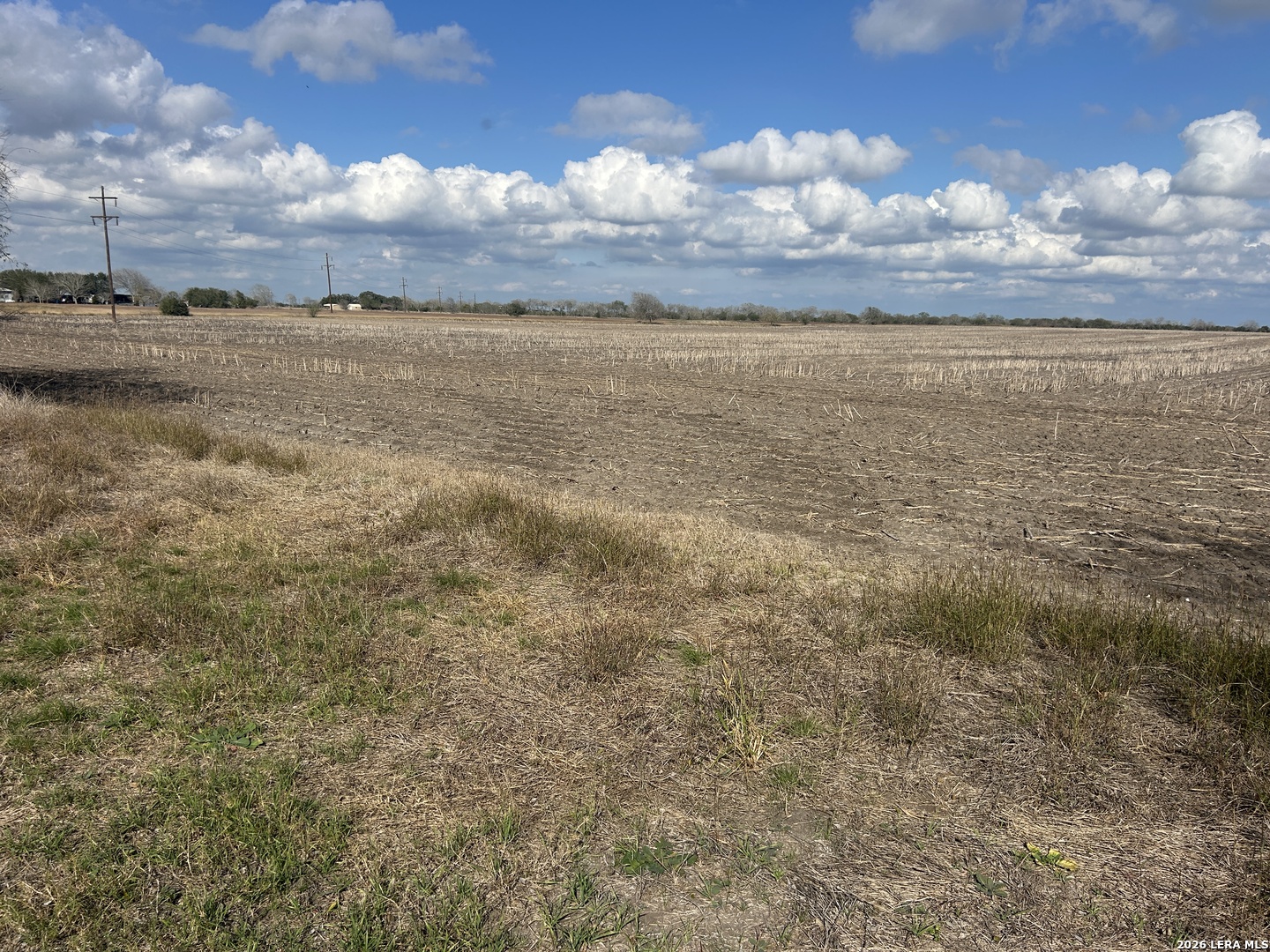 0000 Fm 1349 (39.87 Ac) Skidmore TX 78389