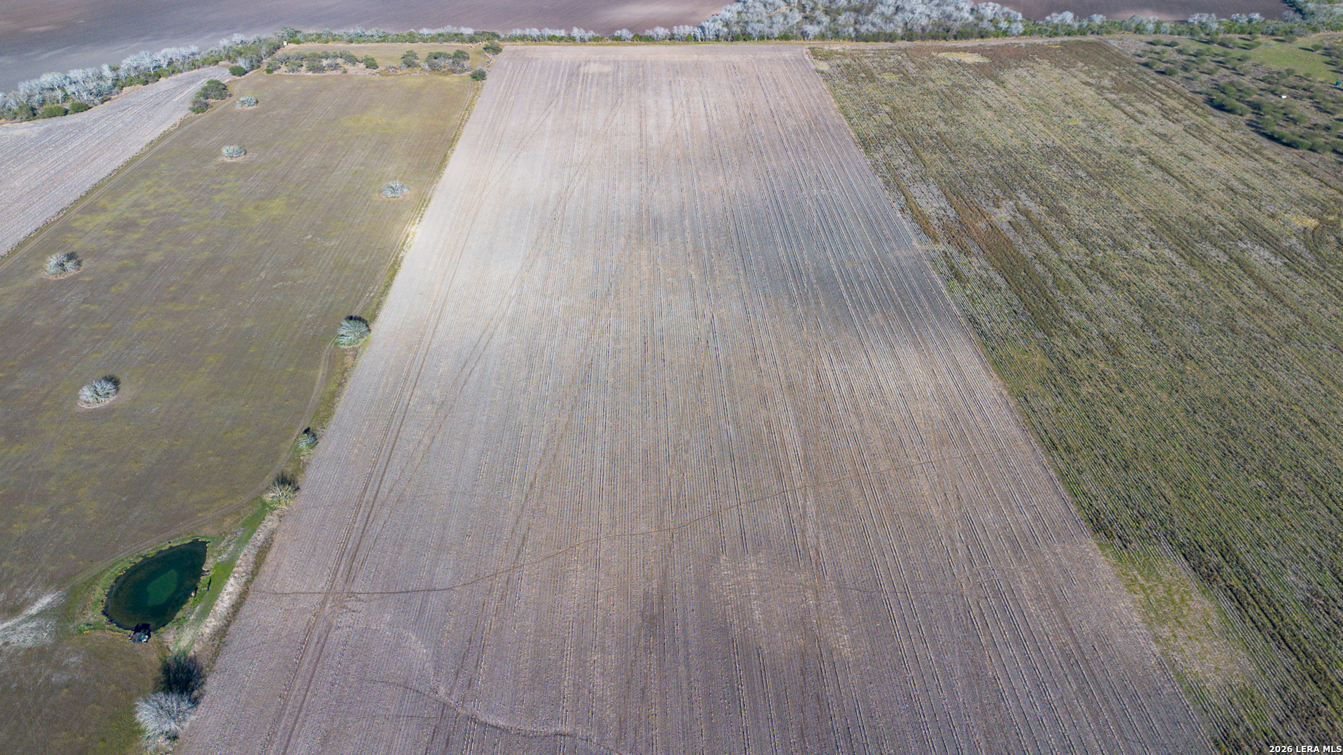 0000 Fm 1349 (39.87 Ac) Skidmore TX 78389