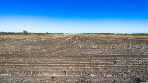0000 Fm 1349 (39.87 Ac) Skidmore TX 78389