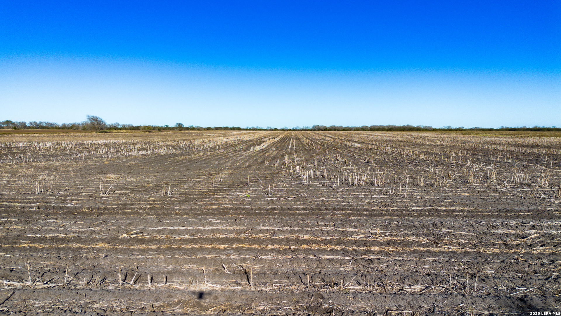 0000 Fm 1349 (39.87 Ac) Skidmore TX 78389