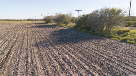 0000 Fm 1349 (39.87 Ac) Skidmore TX 78389
