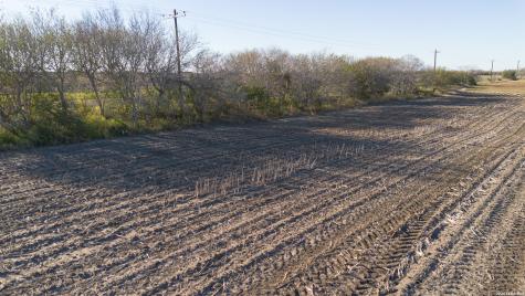 0000 Fm 1349 (39.87 Ac) Skidmore TX 78389