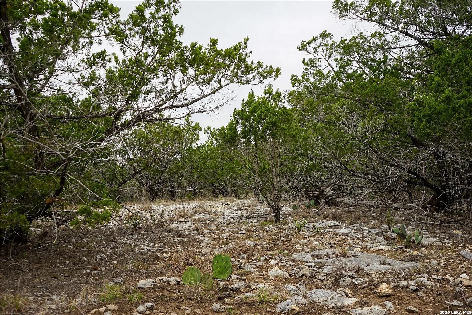 1450 Primrose Kerrville TX 78028