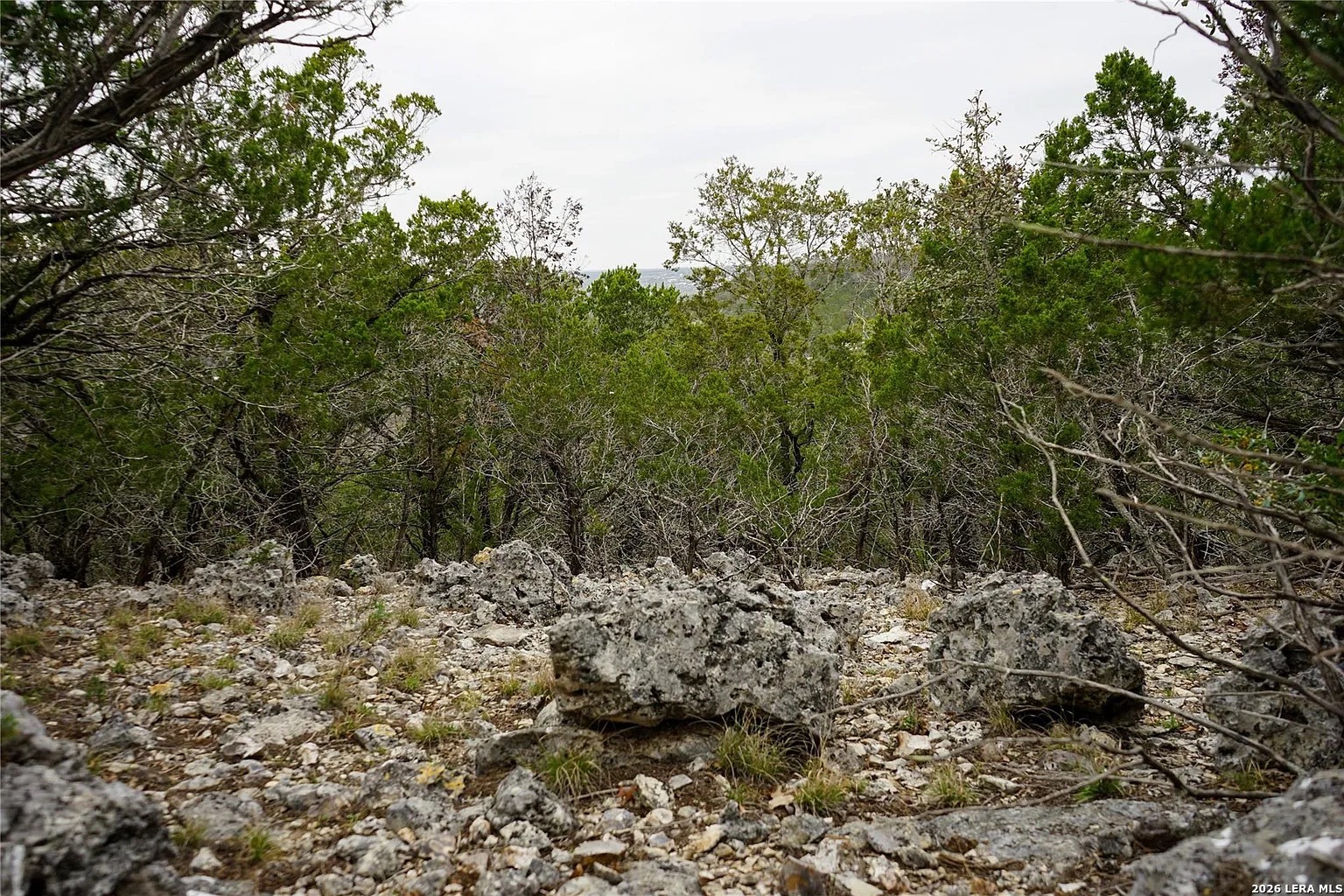 1450 Primrose Kerrville TX 78028