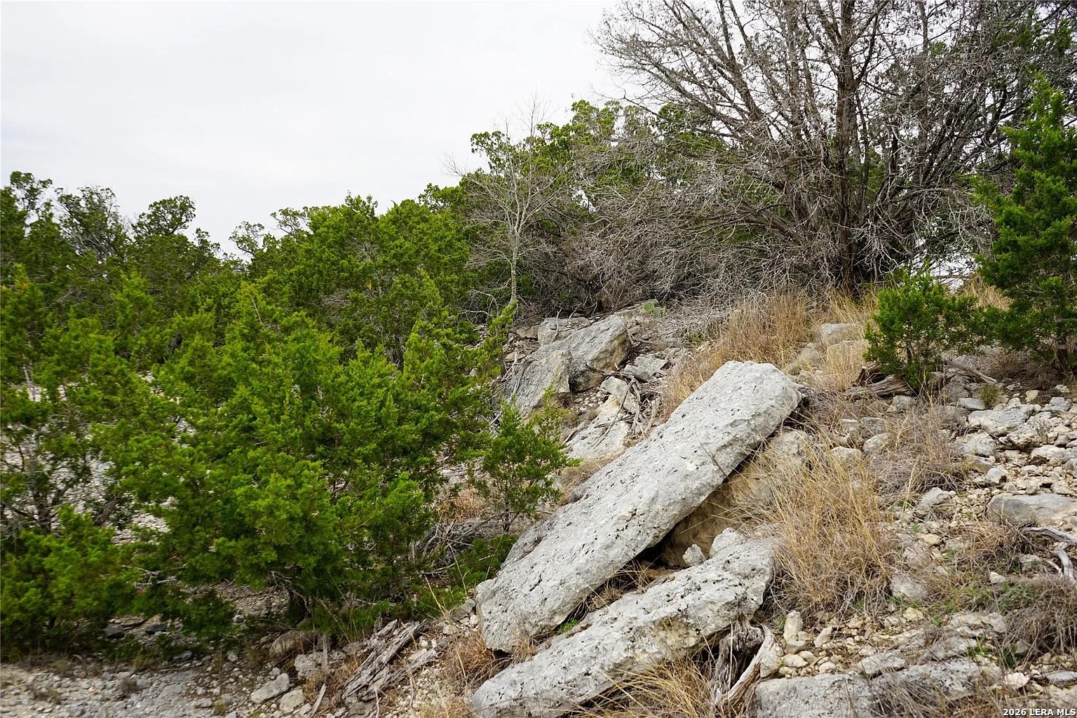 1450 Primrose Kerrville TX 78028