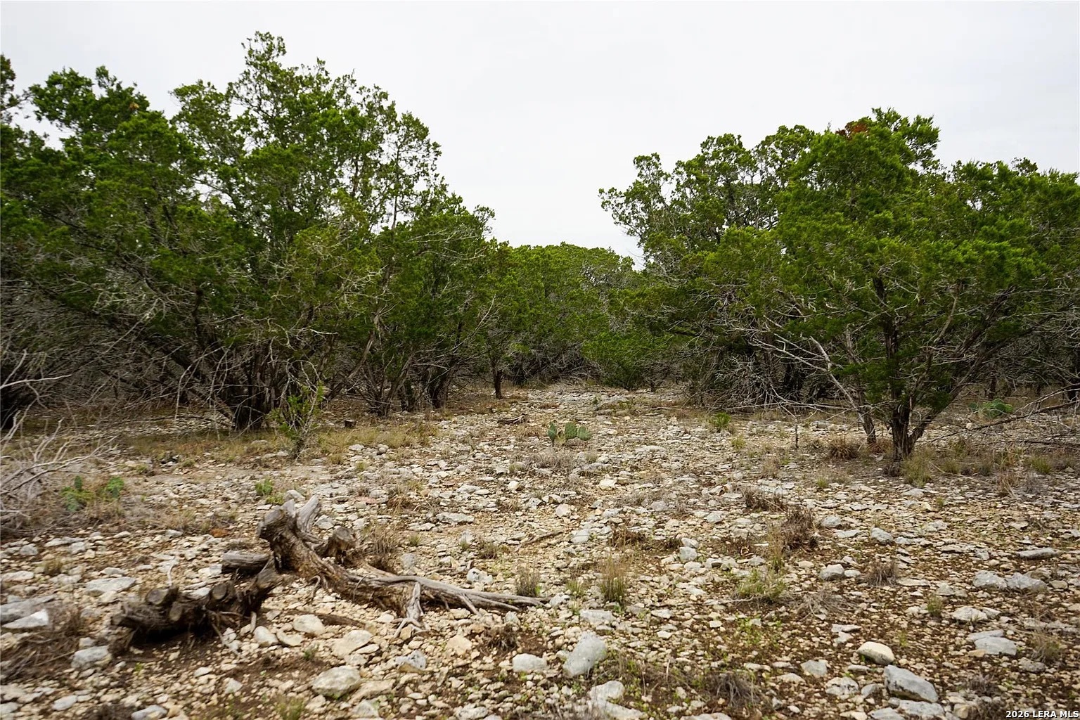 1450 Primrose Kerrville TX 78028