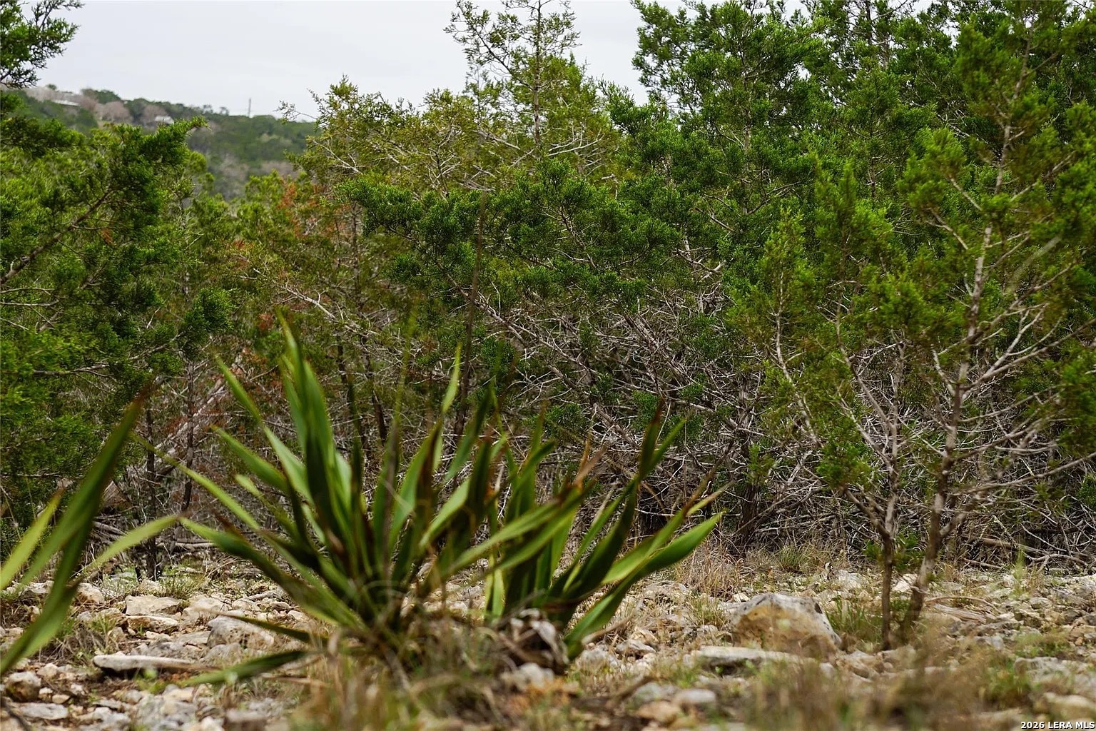 1450 Primrose Kerrville TX 78028