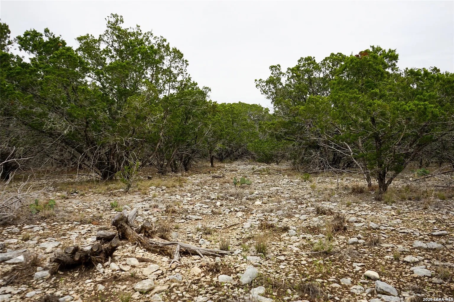 1450 Primrose Kerrville TX 78028