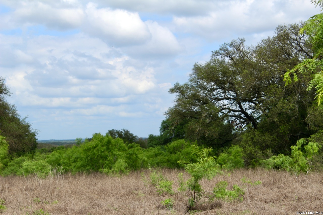 000 Cr 341 Hondo TX 78861
