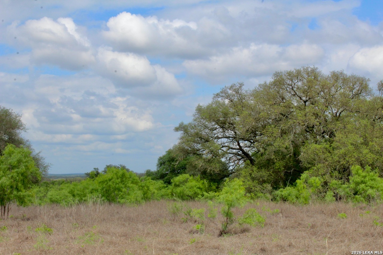 000 Cr 341 Hondo TX 78861