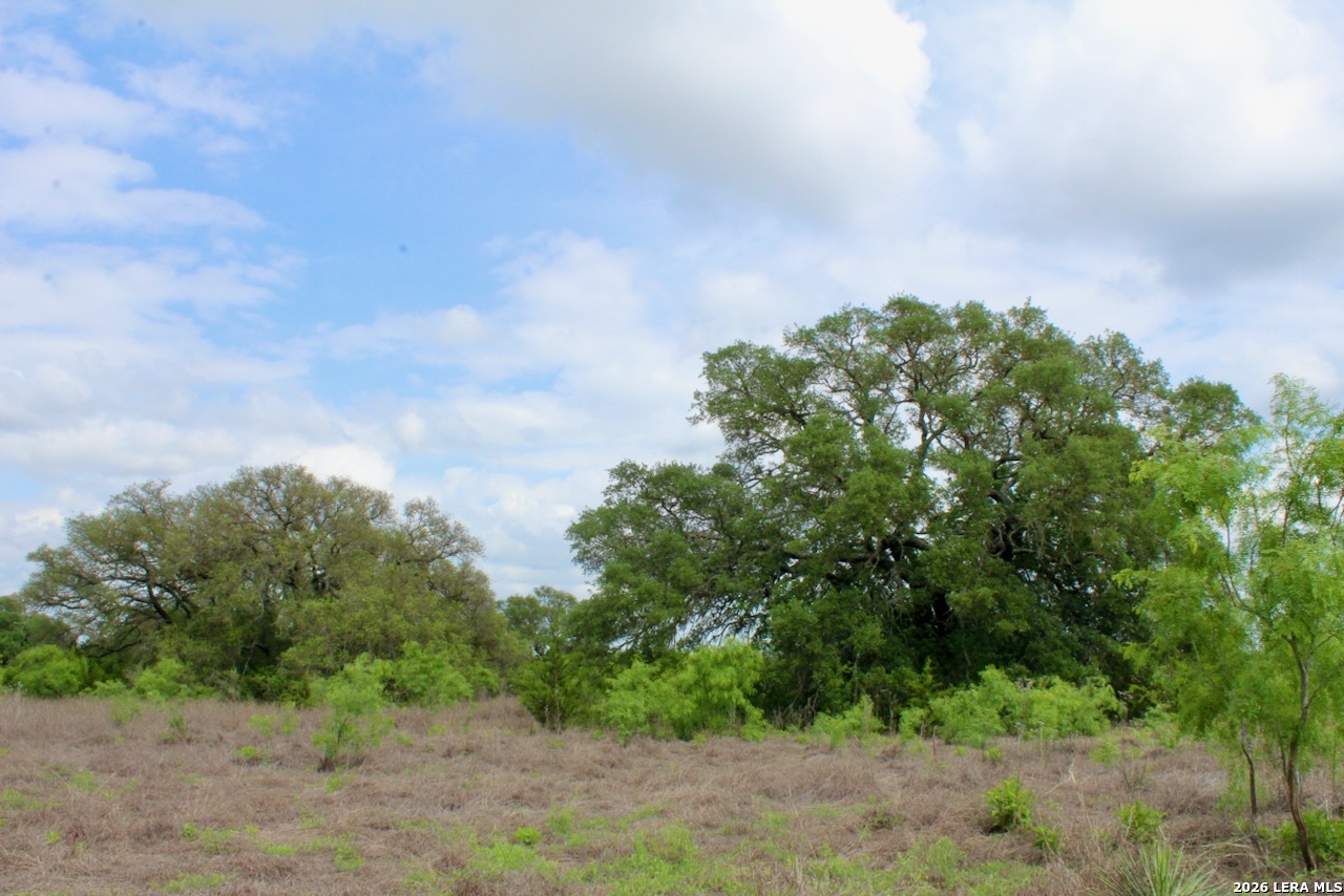 000 Cr 341 Hondo TX 78861