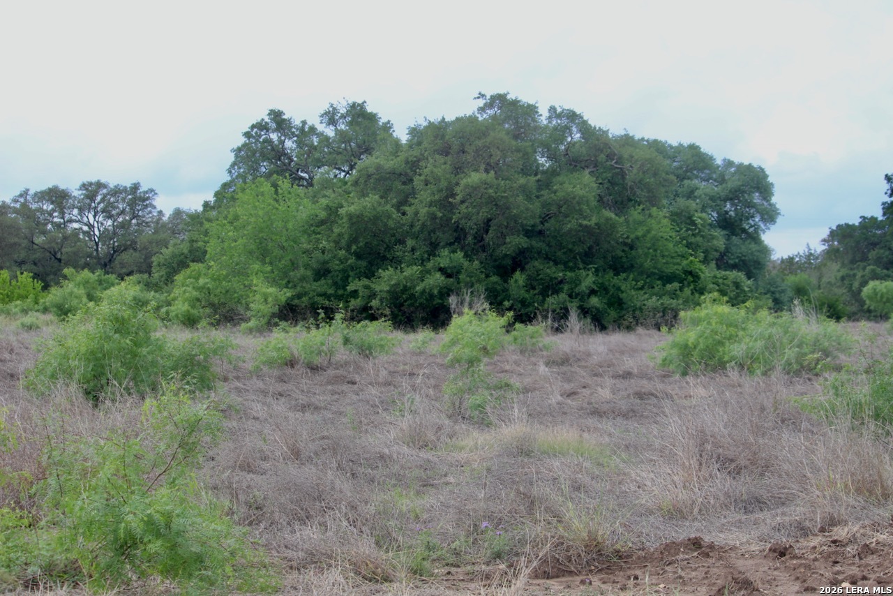 000 Cr 341 Hondo TX 78861