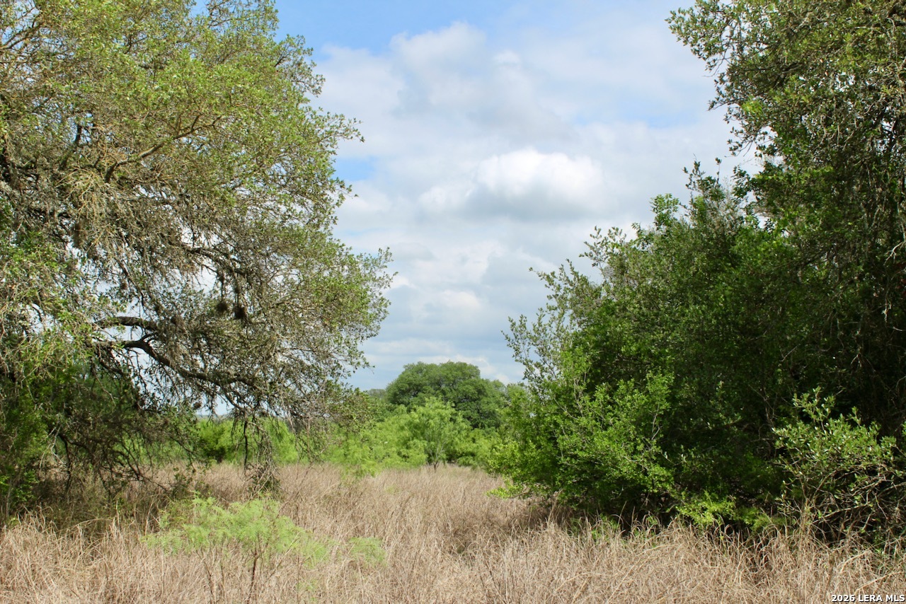 000 Cr 341 Hondo TX 78861