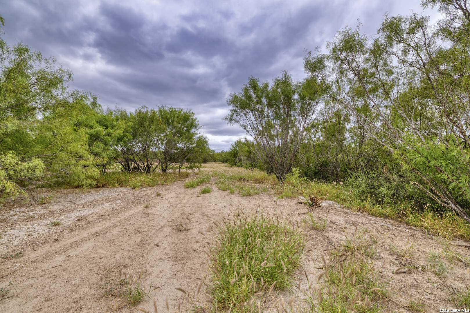 2421 Fm 582 Crystal City TX 78839