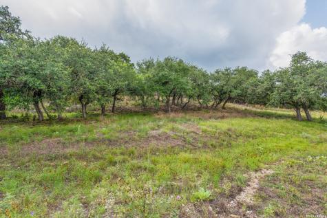 Tbd Cibolo Drive Bulverde TX 78163