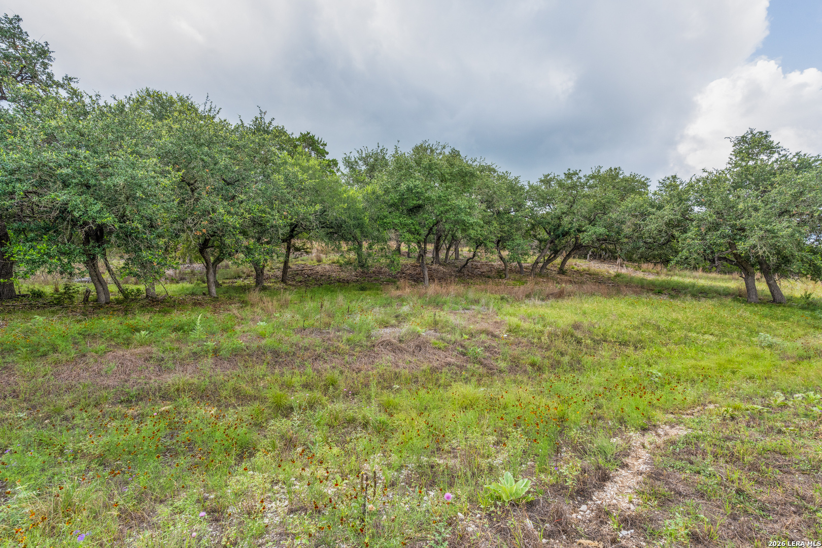 Tbd Cibolo Drive Bulverde TX 78163