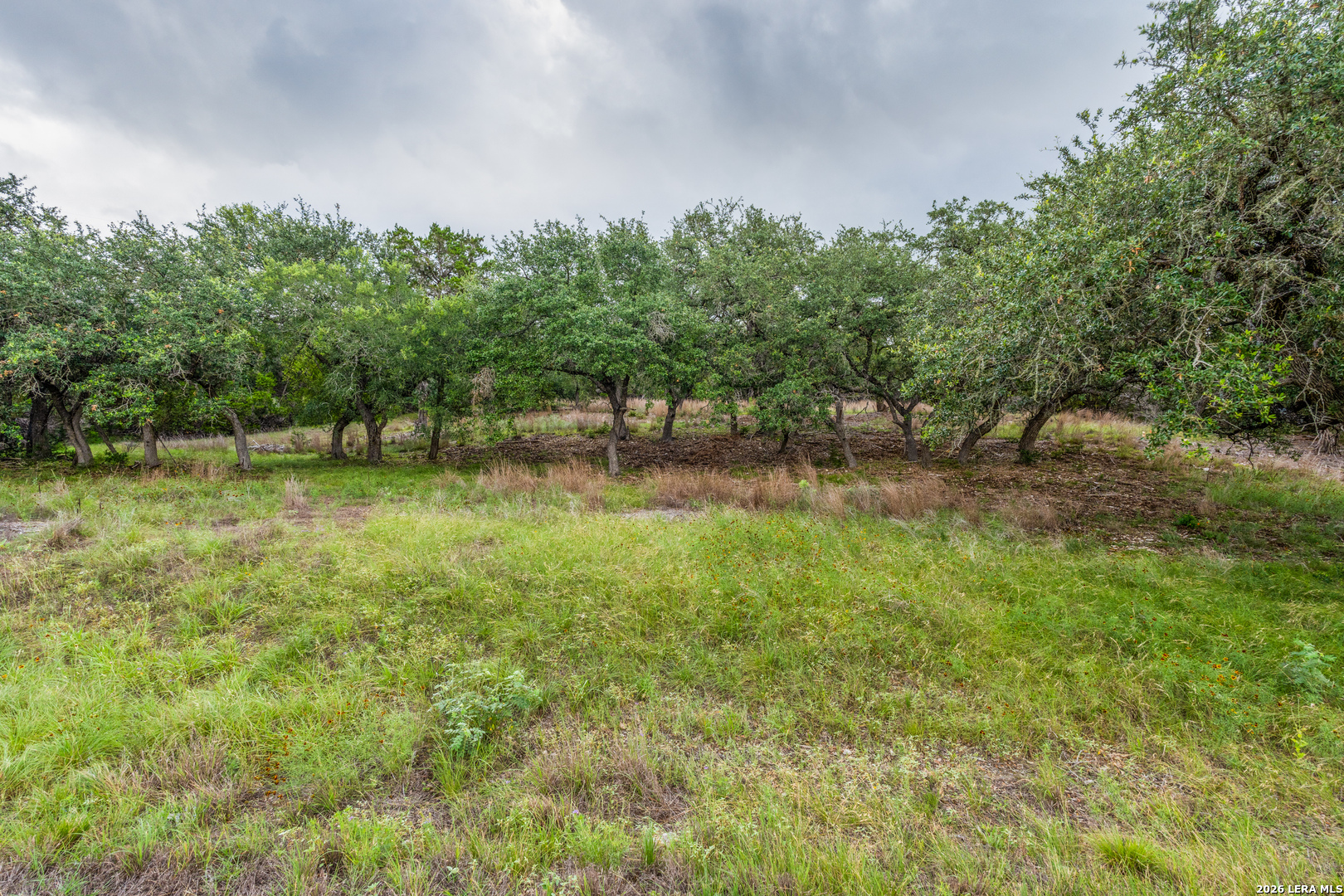 Tbd Cibolo Drive Bulverde TX 78163