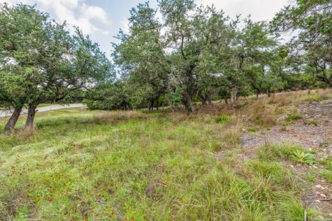 Tbd Cibolo Drive Bulverde TX 78163