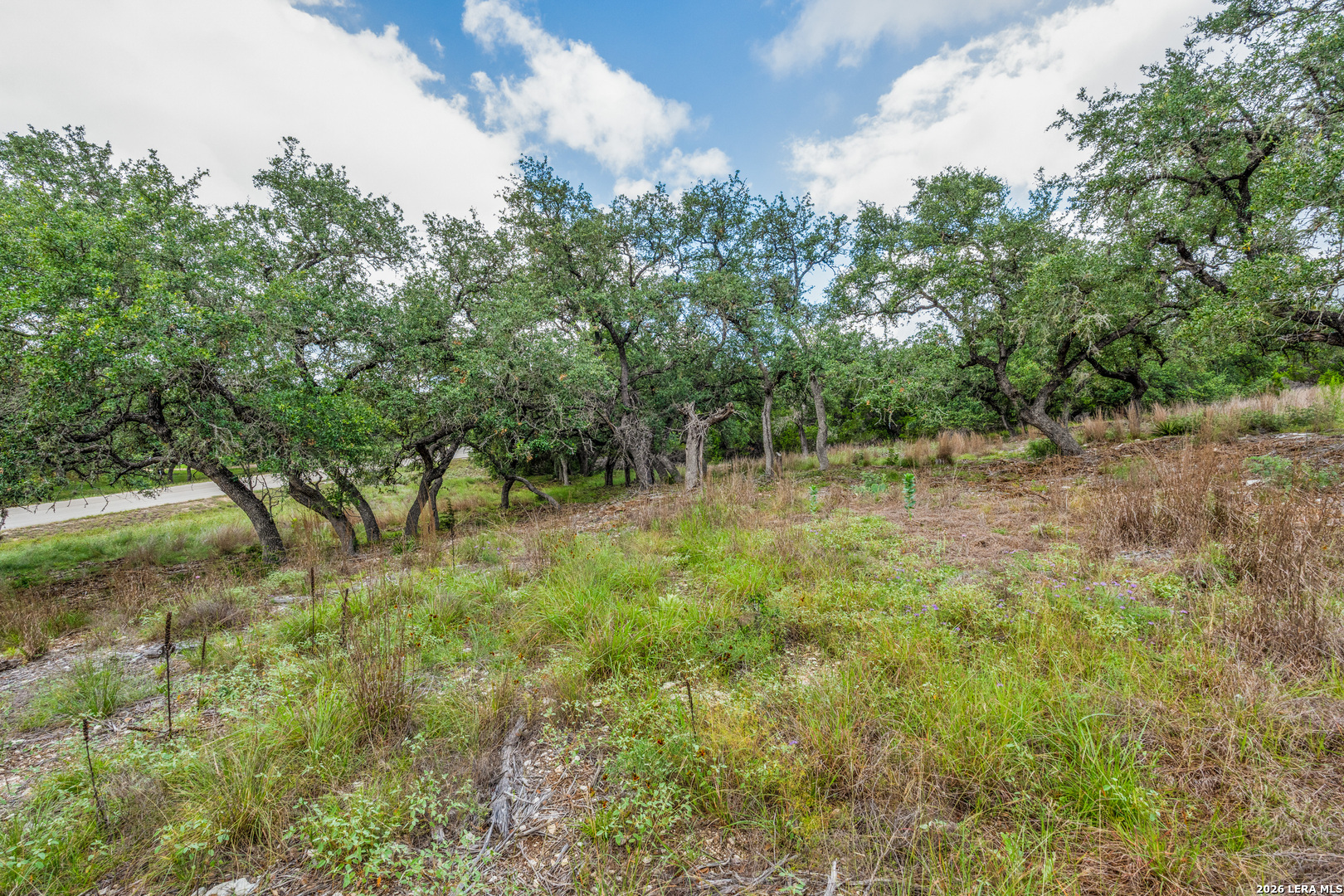 Tbd Cibolo Drive Bulverde TX 78163
