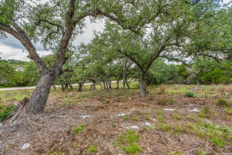 Tbd Cibolo Drive Bulverde TX 78163