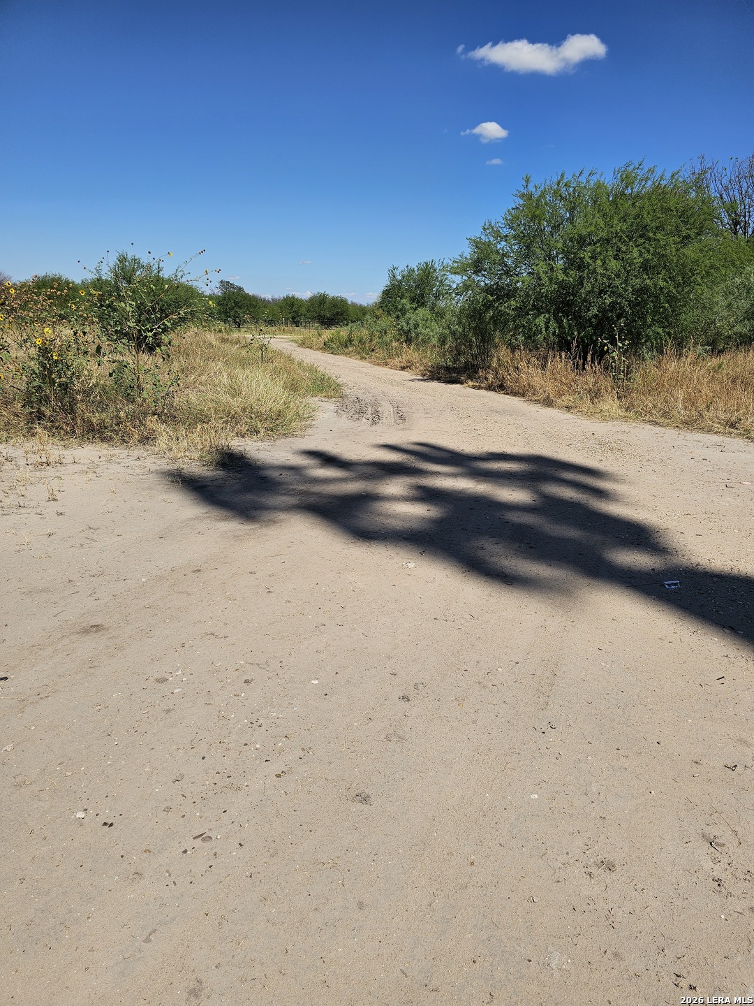 508 E. Amistad Avenue Quemado TX 78877