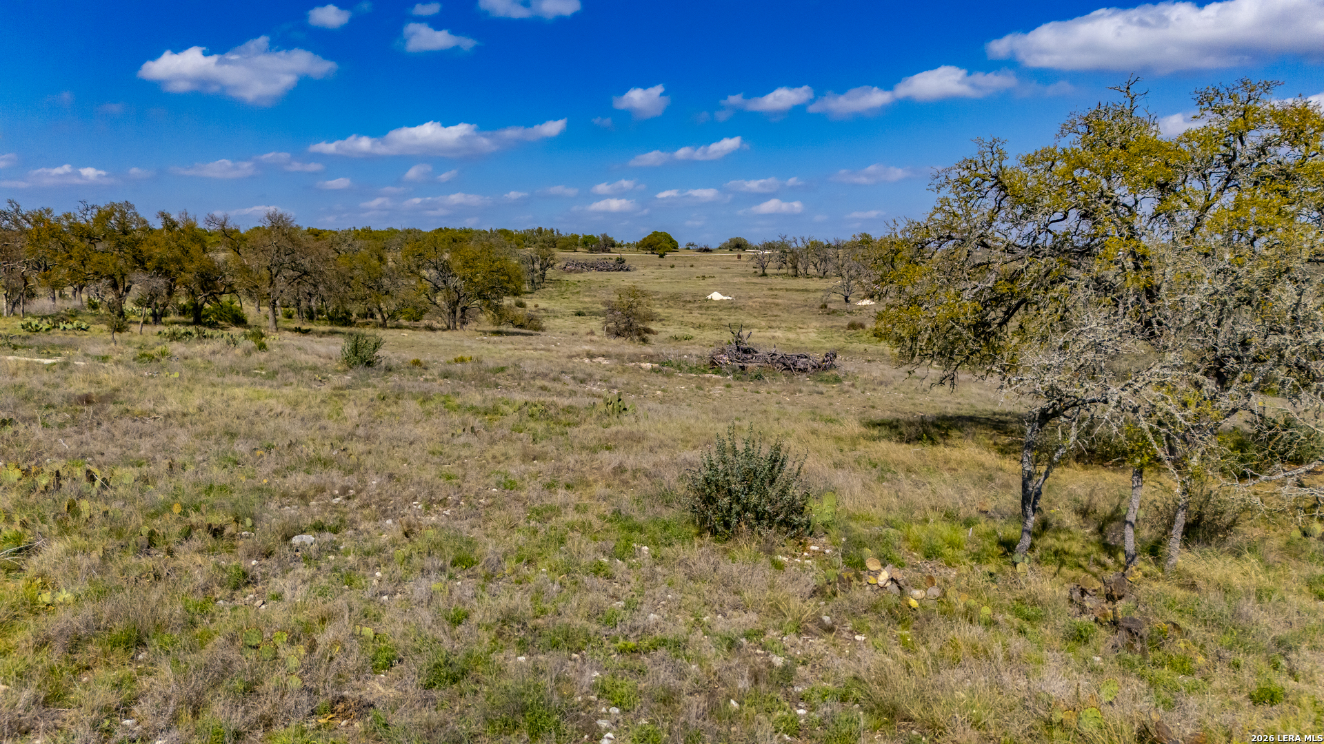 444 Mosel Road Harper TX 78631