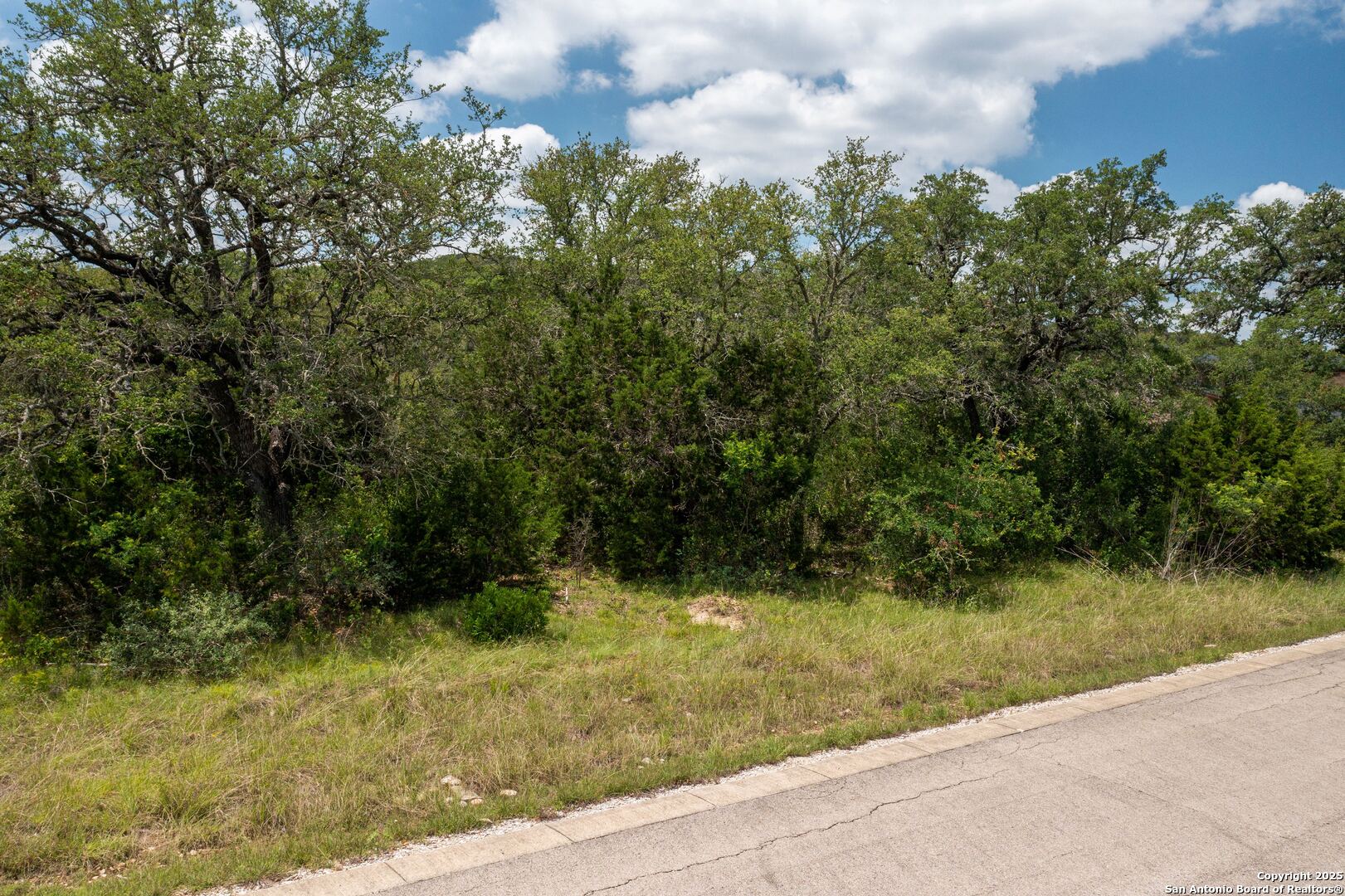 Lot 387 Pr 1742 Mico TX 78056