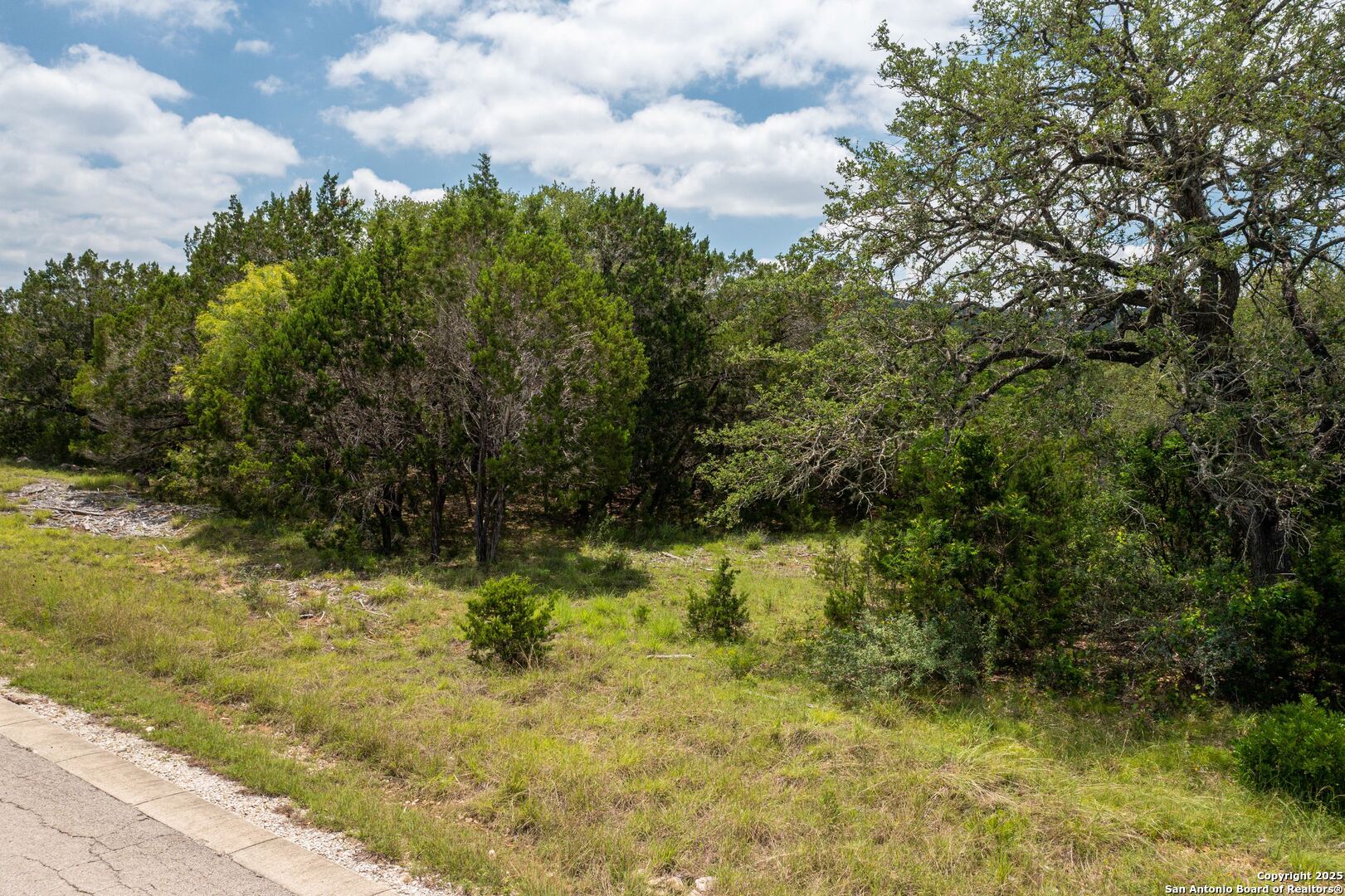 Lot 387 Pr 1742 Mico TX 78056