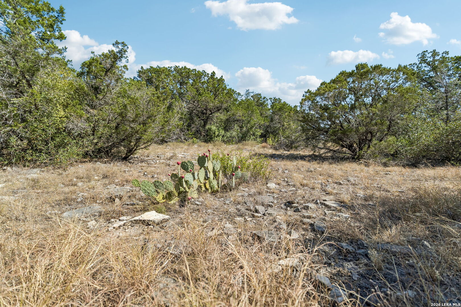 Lot 126 High Valley Road Hondo TX 78861