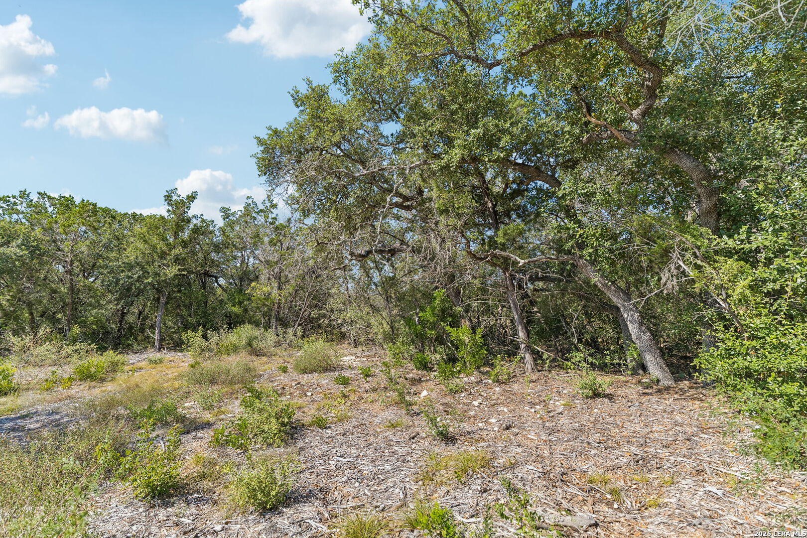 Lot 126 High Valley Road Hondo TX 78861