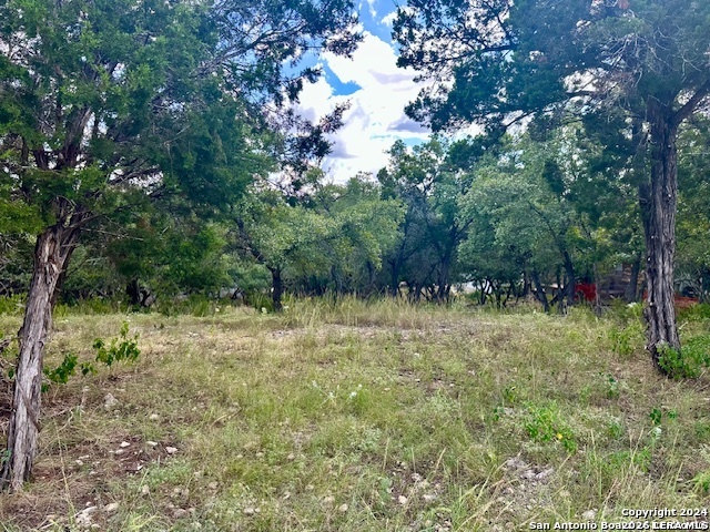 2220 Grandview Canyon Lake TX 78133