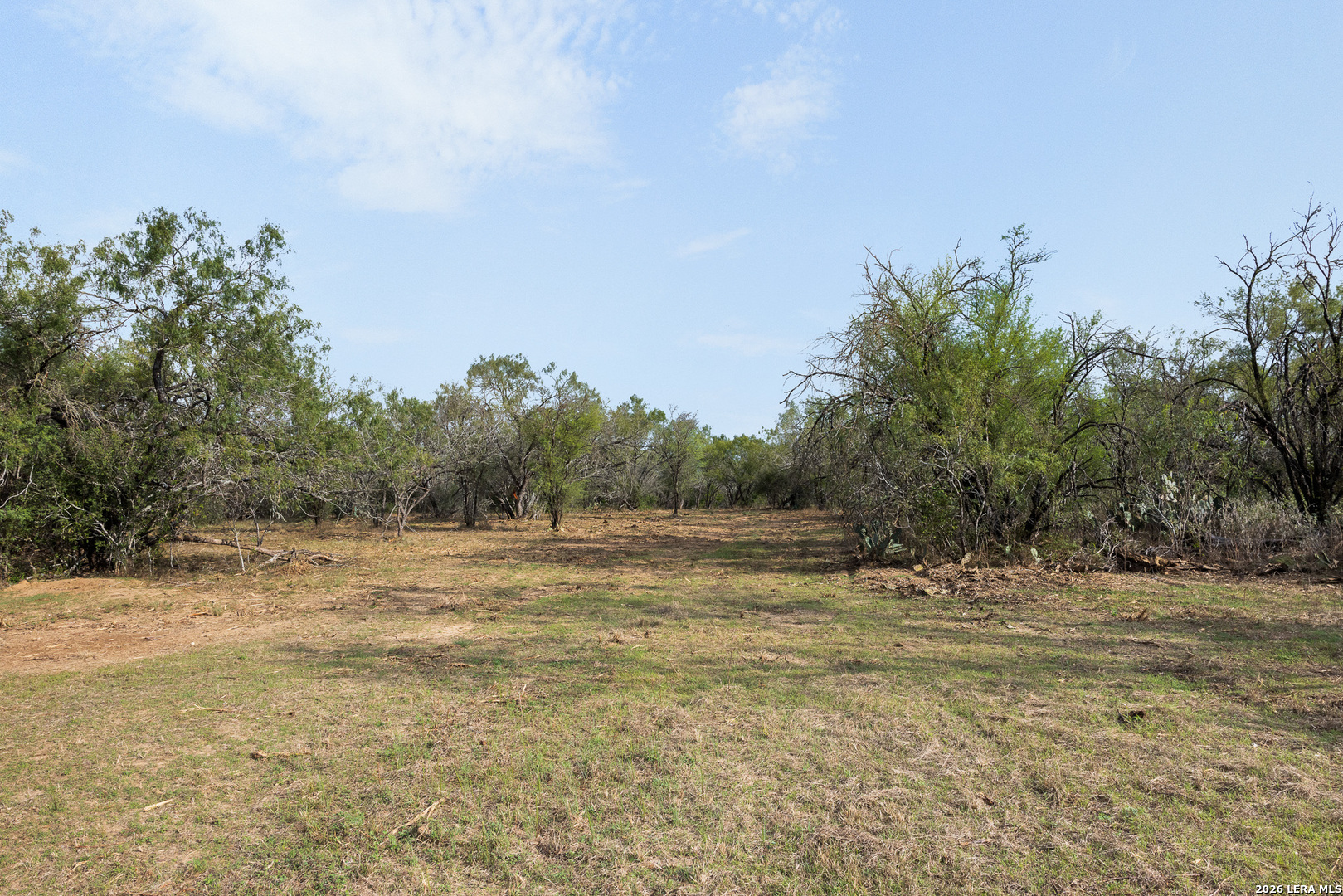Tract 11 Schultz Road Elmendorf TX 78112