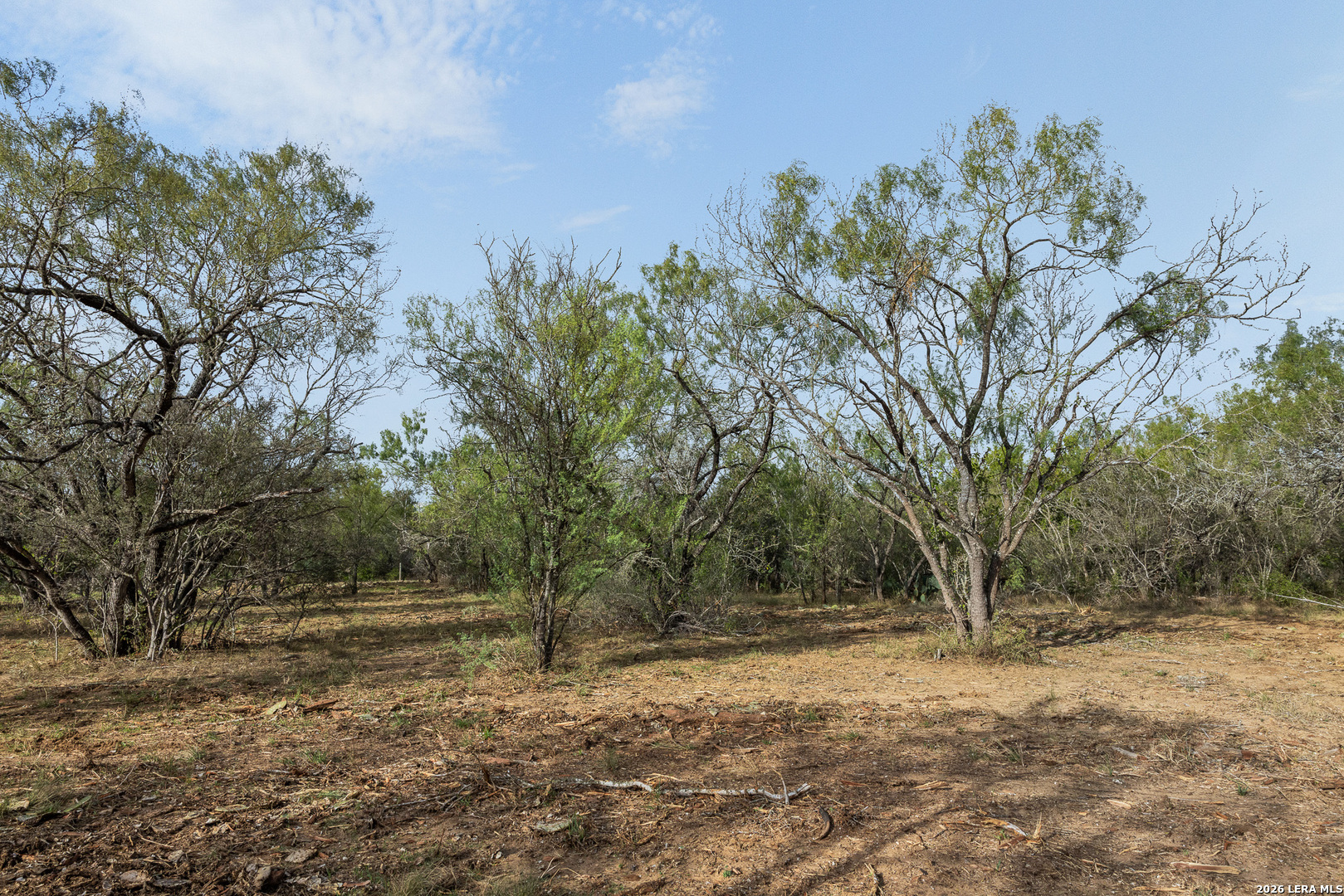 Tract 11 Schultz Road Elmendorf TX 78112