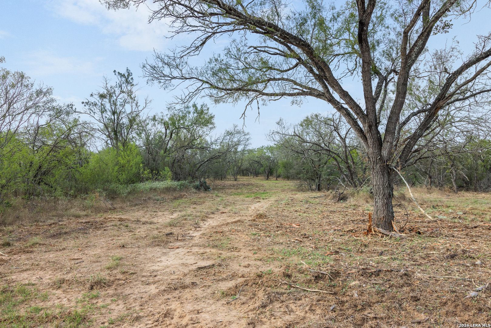 Tract 11 Schultz Road Elmendorf TX 78112