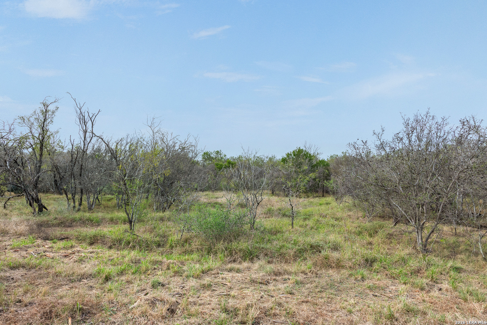 Tract 11 Schultz Road Elmendorf TX 78112