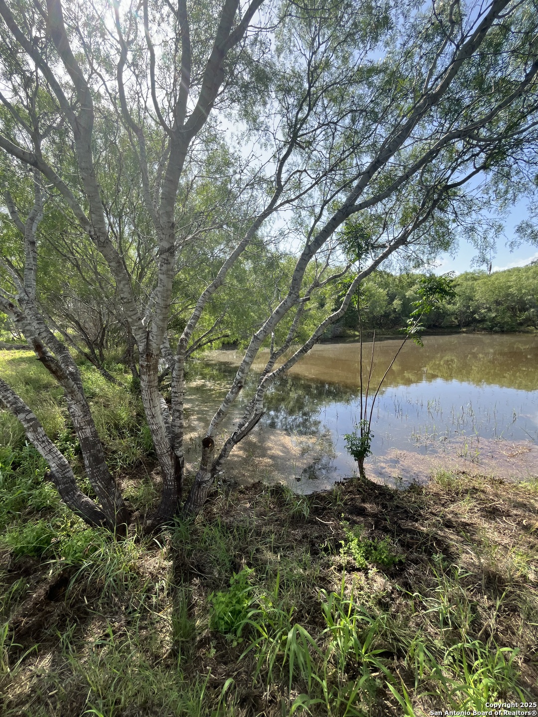 707 Deer Trail Jourdanton TX 78026