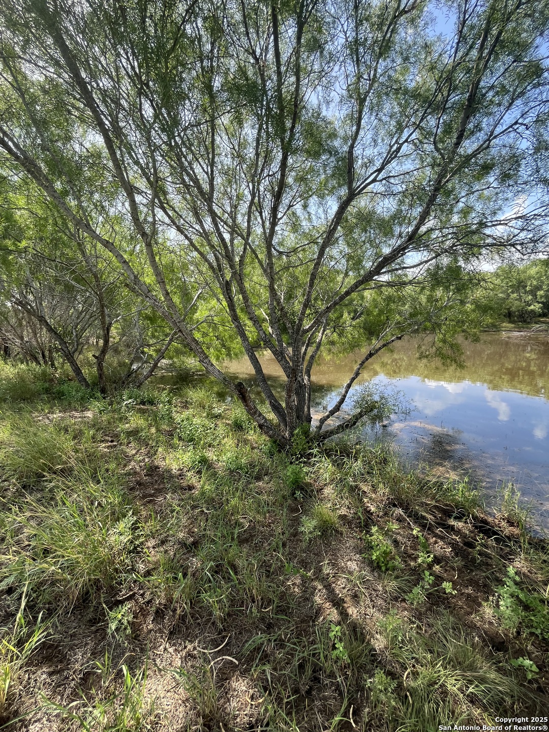 707 Deer Trail Jourdanton TX 78026