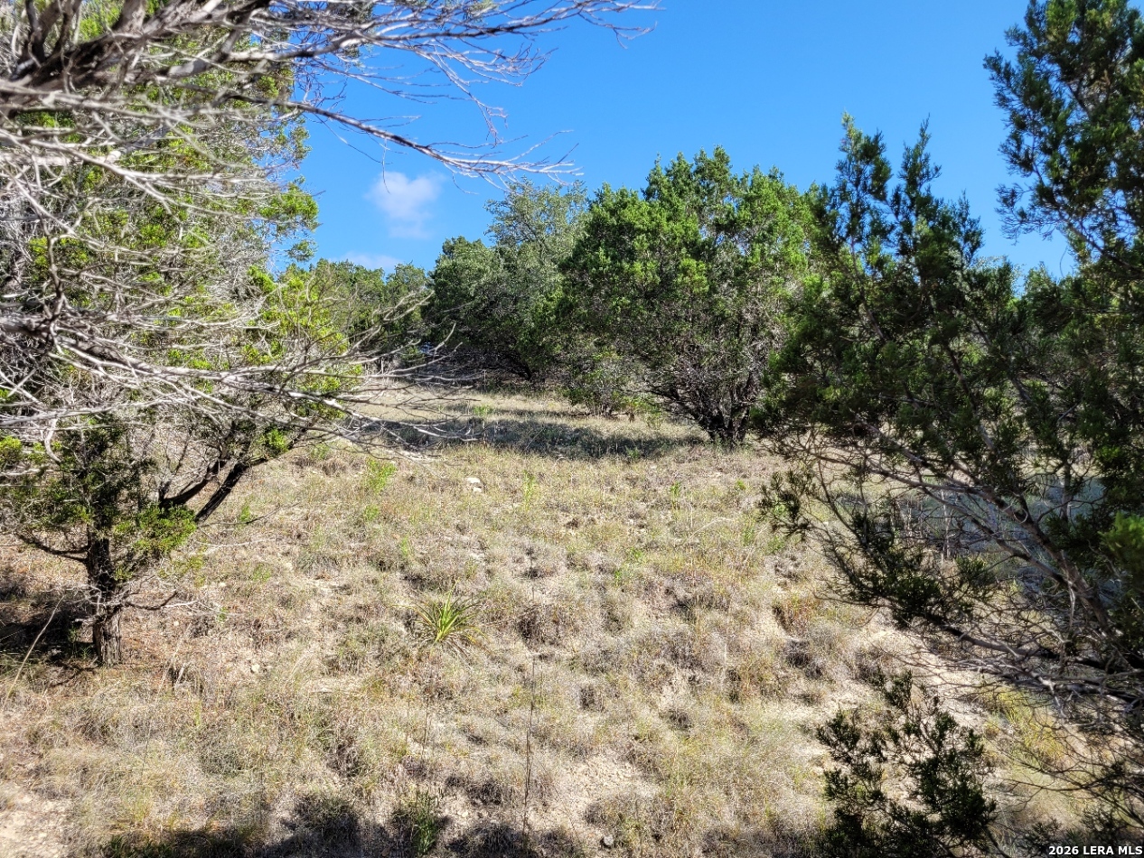 118 Bobby Clark Drive Canyon Lake TX 78133