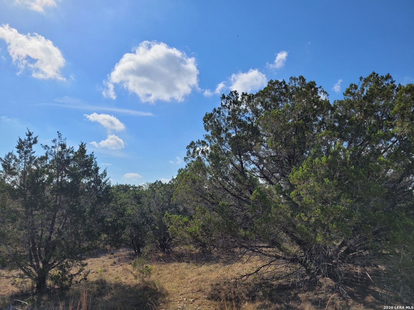 118 Bobby Clark Drive Canyon Lake TX 78133