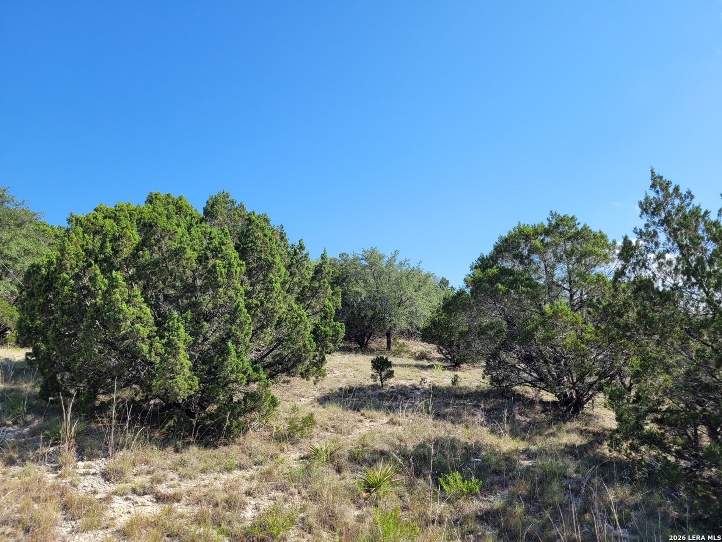 118 Bobby Clark Drive Canyon Lake TX 78133