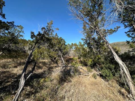 17130 Highway 127 Sabinal TX 78881
