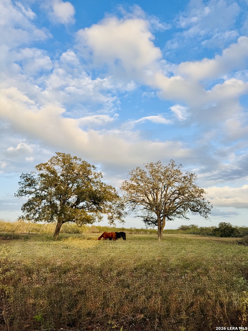 1410 W County Road 109 Leesville TX 78122