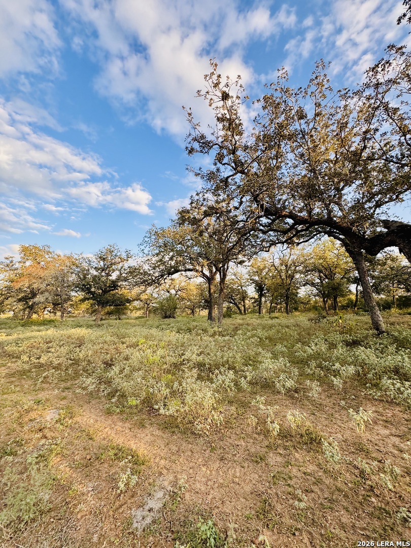 1410 W County Road 109 Leesville TX 78122