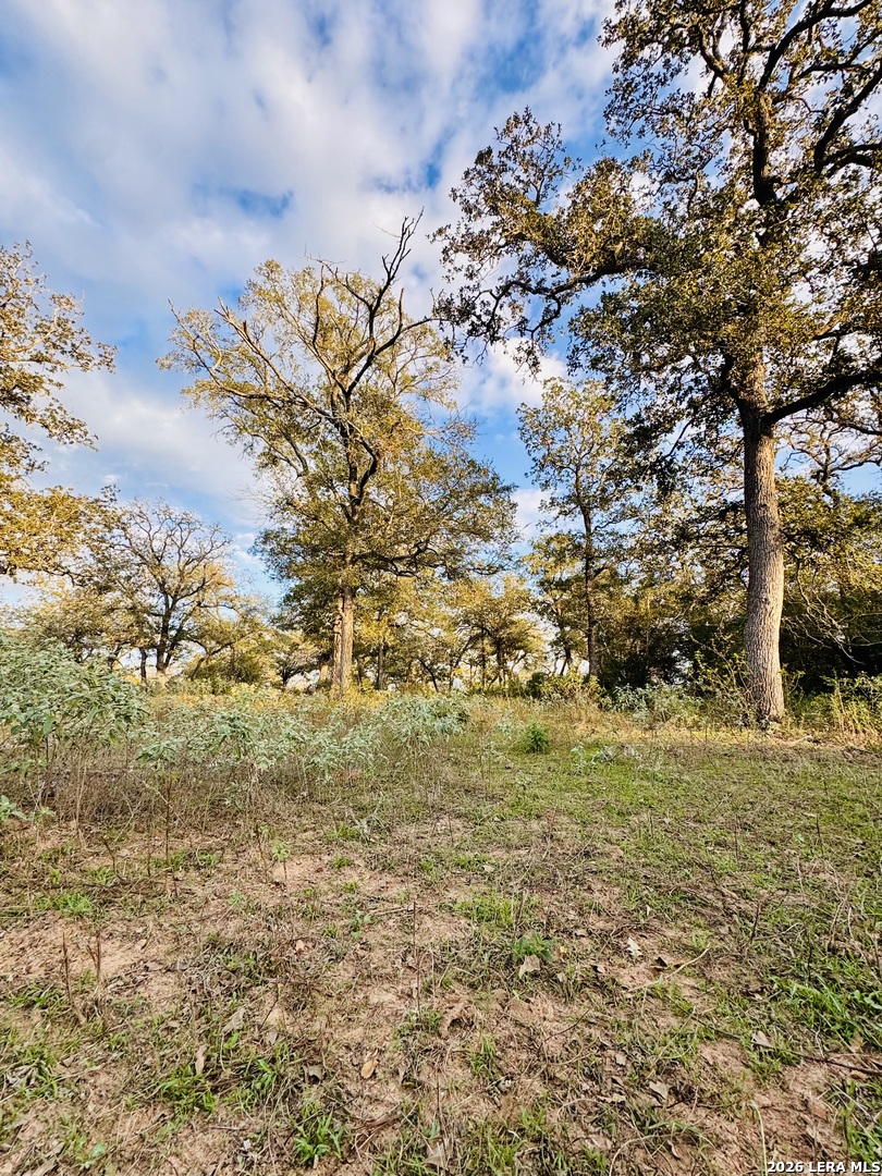 1410 W County Road 109 Leesville TX 78122