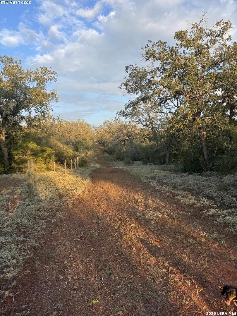 1410 W County Road 109 Leesville TX 78122