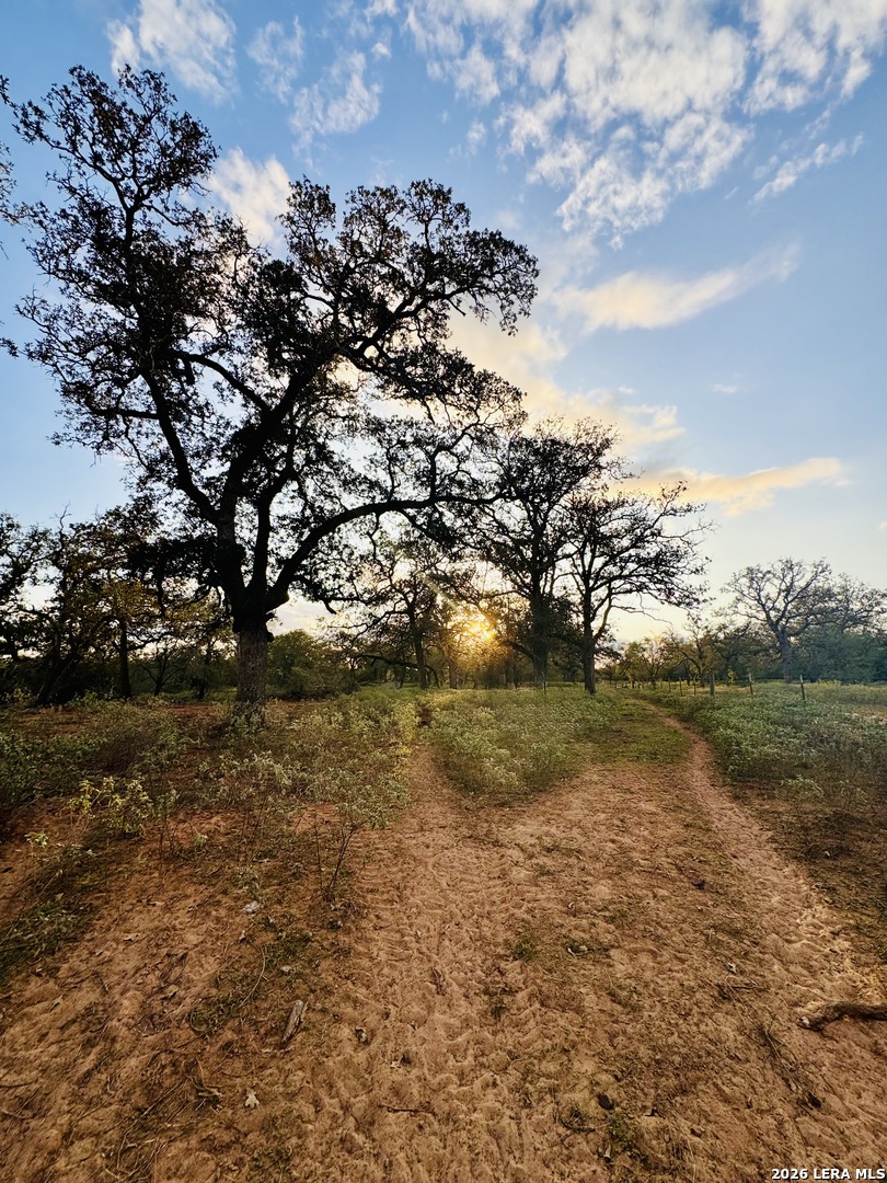 1410 W County Road 109 Leesville TX 78122