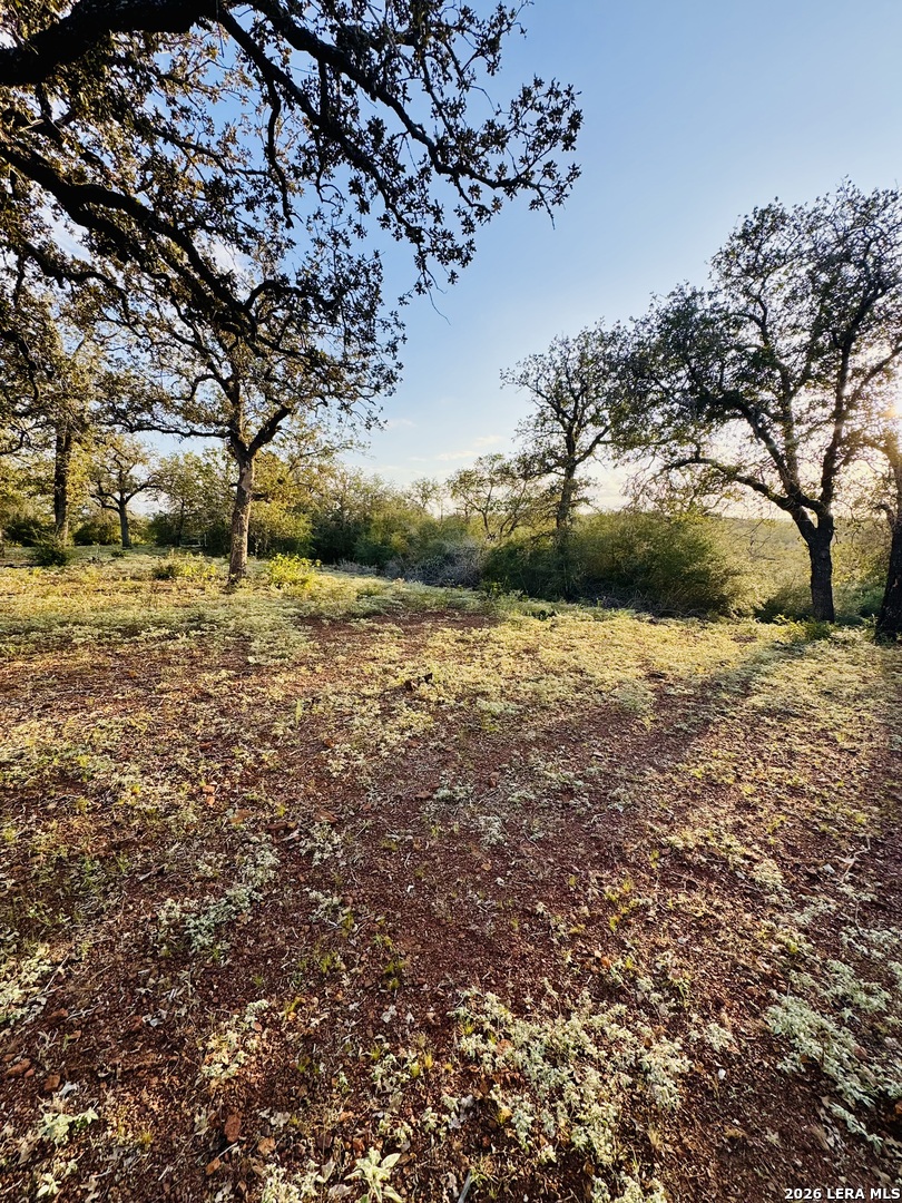 1410 W County Road 109 Leesville TX 78122