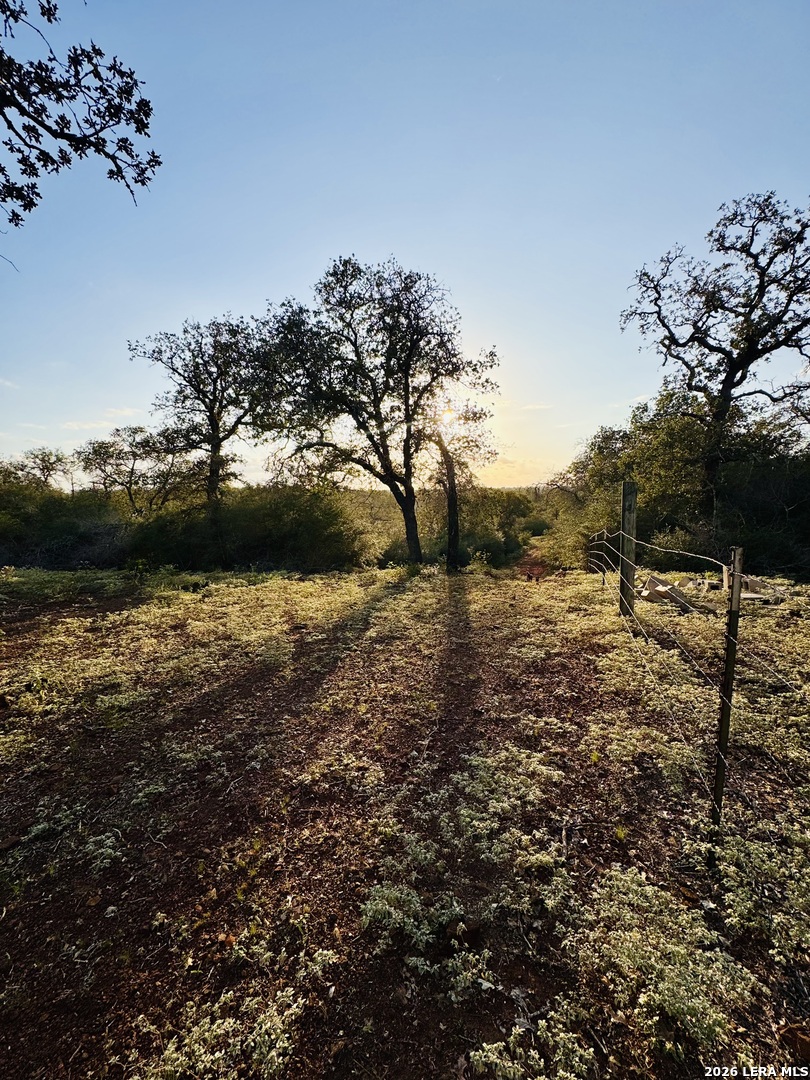 1410 W County Road 109 Leesville TX 78122